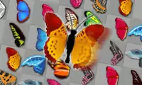 Butterfly Kyodai: Deluxe